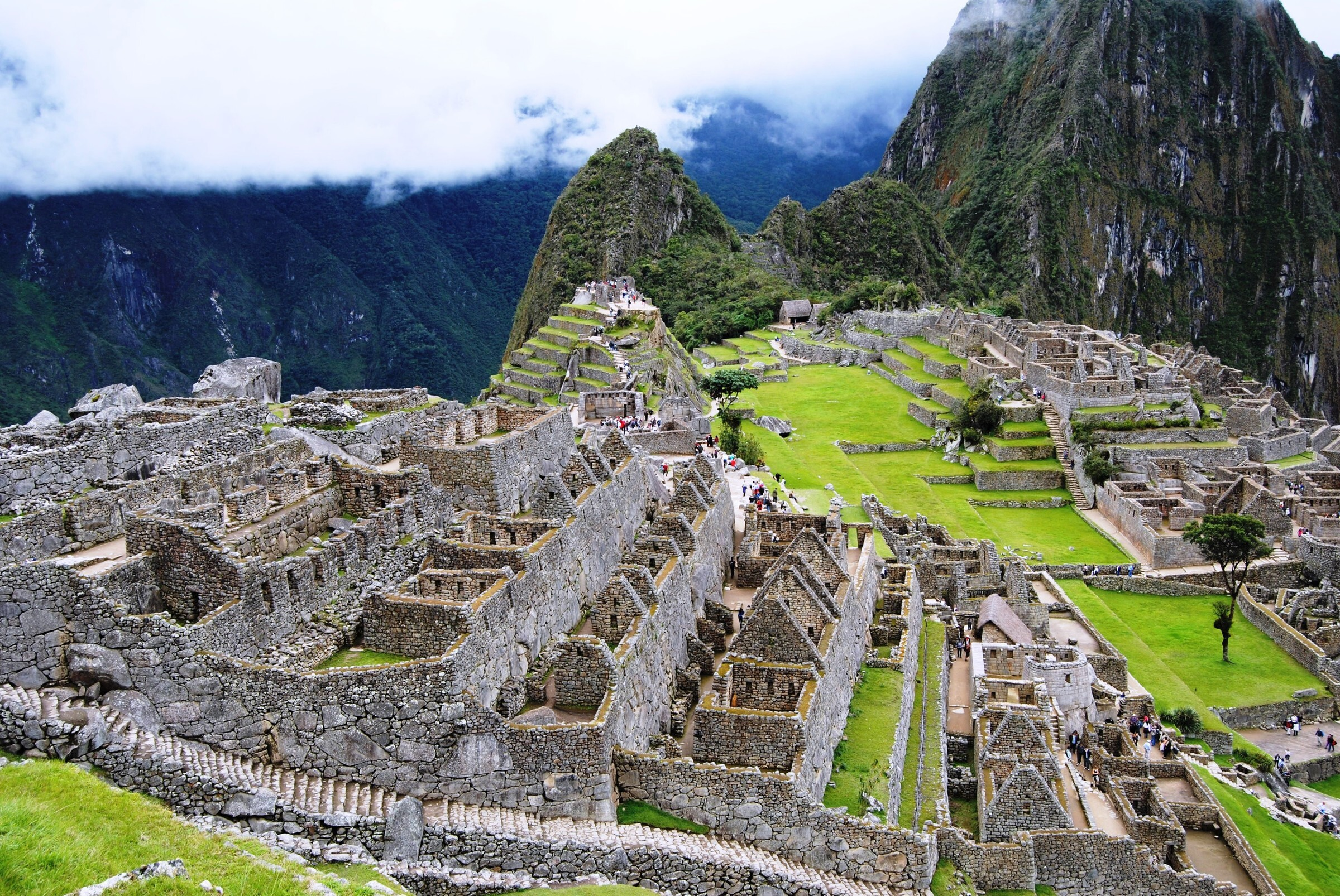 Программы сопровождения